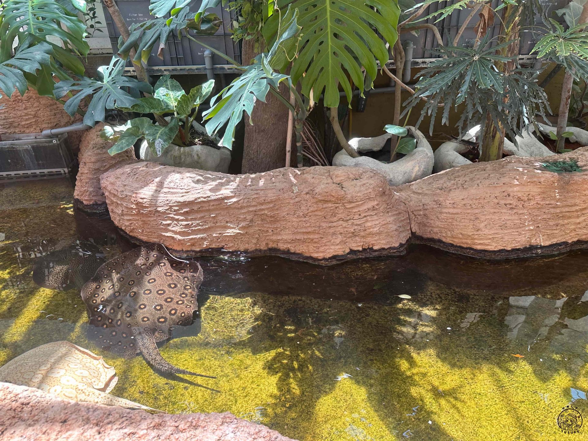 宜蘭動植物王國介紹