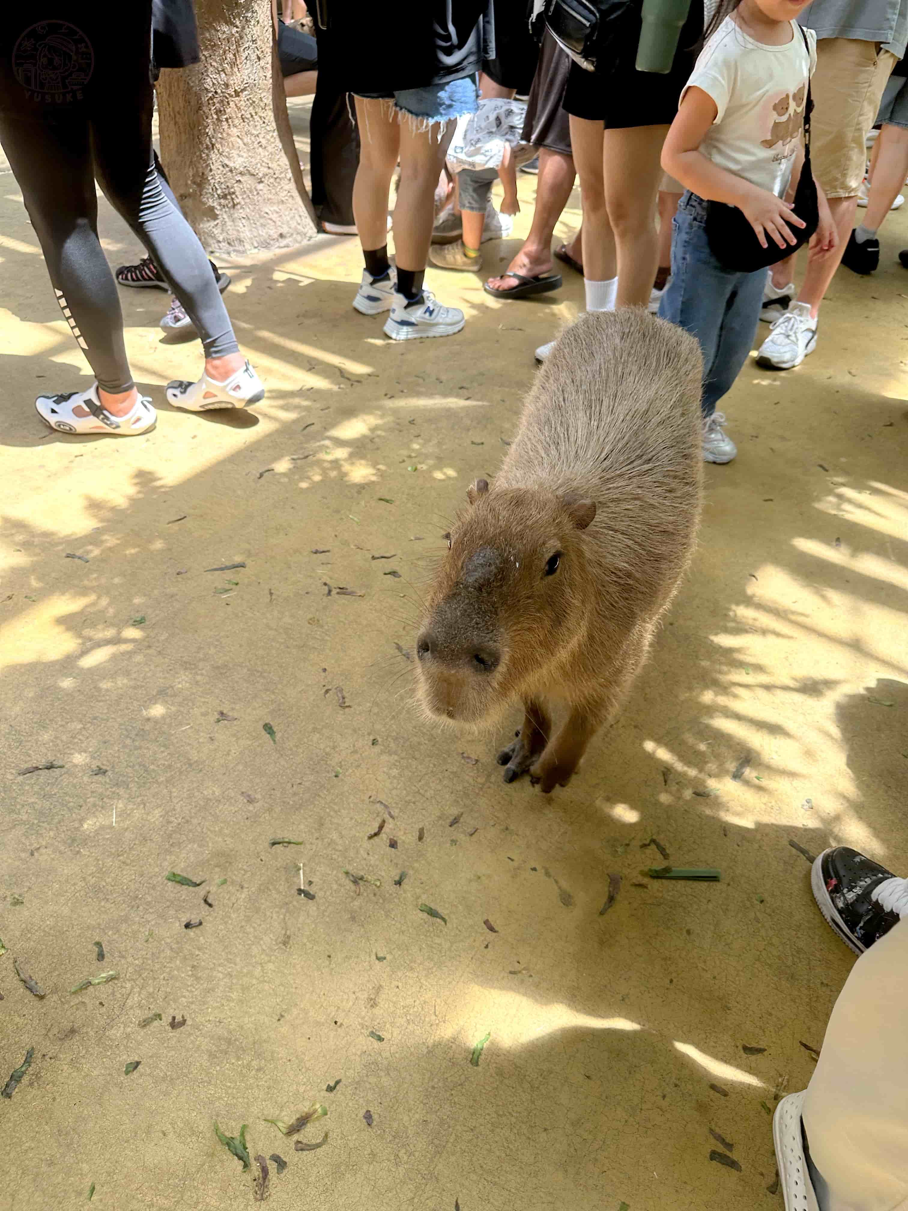宜蘭動植物王國介紹