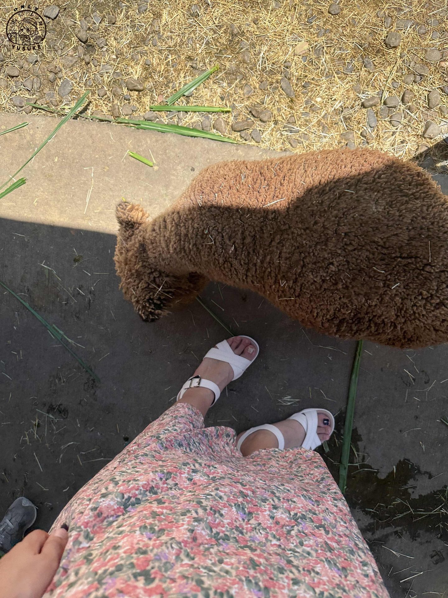 宜蘭動植物王國介紹