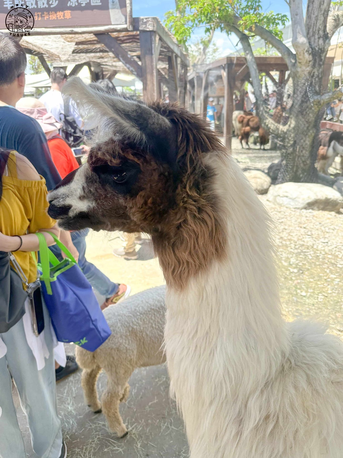 宜蘭動植物王國介紹