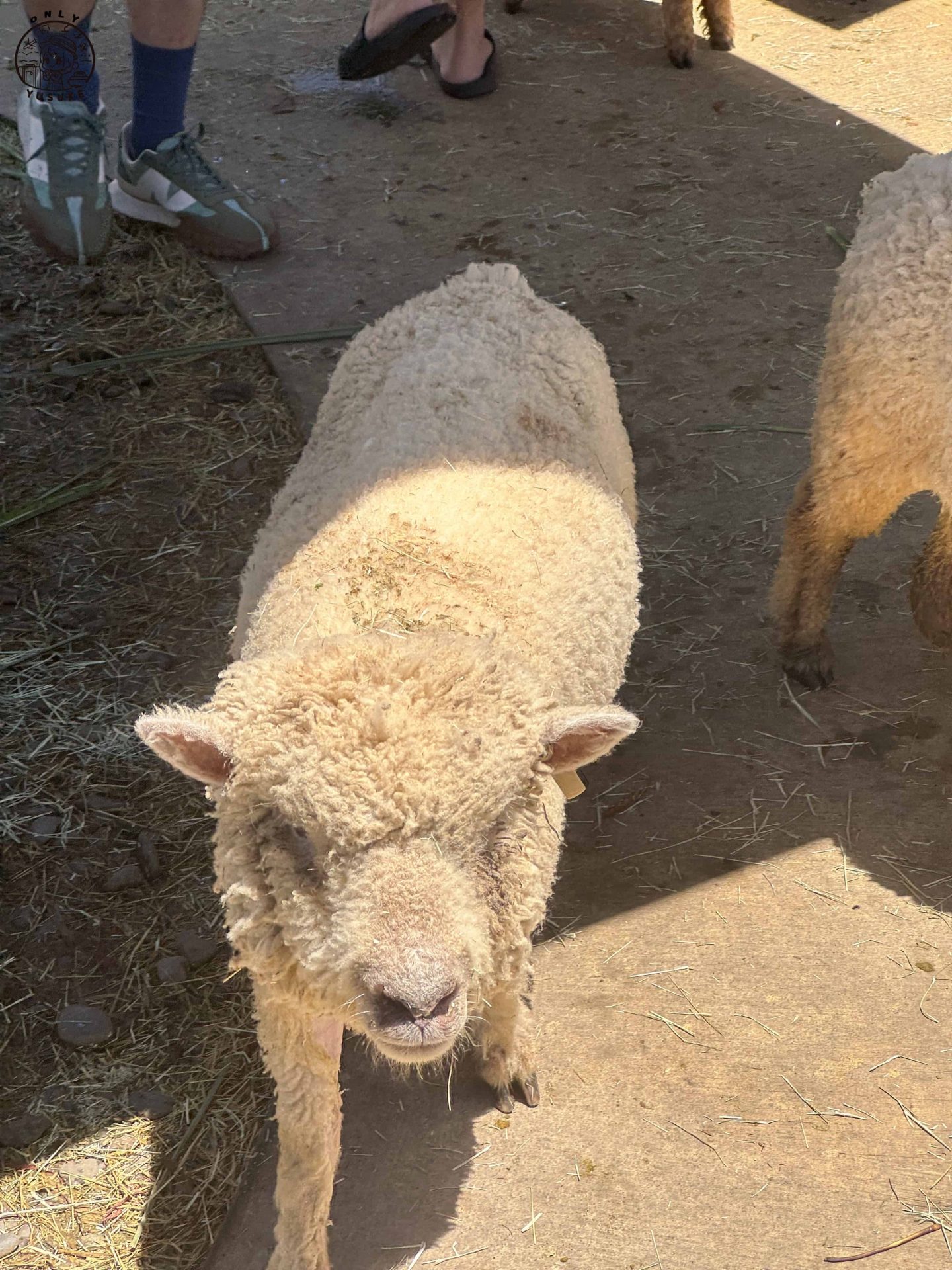 宜蘭動植物王國介紹