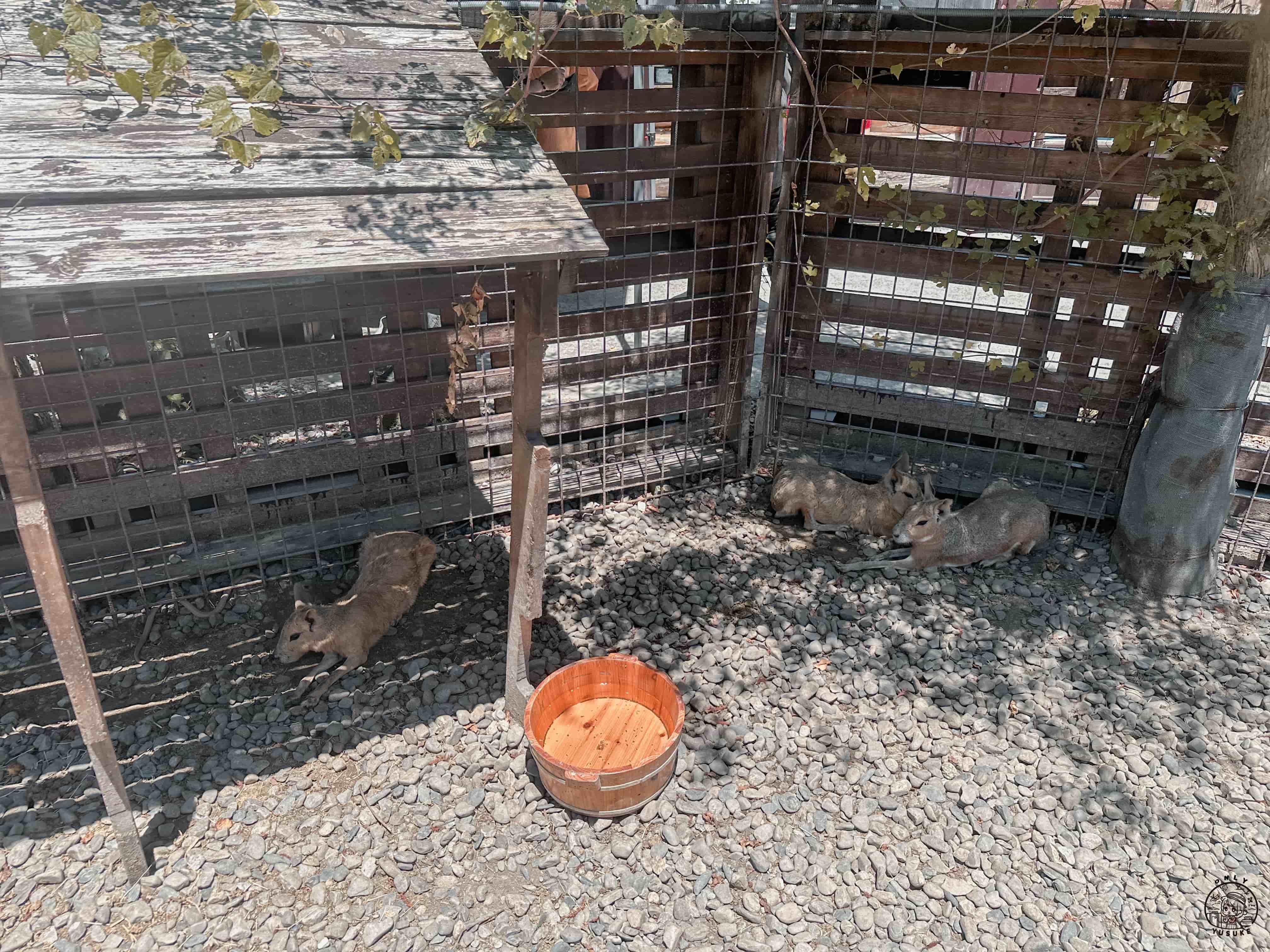 宜蘭動植物王國介紹