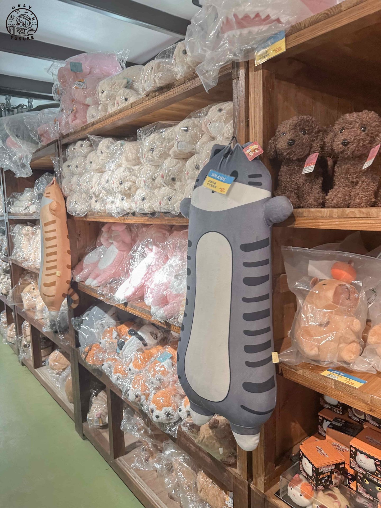 宜蘭動植物王國介紹