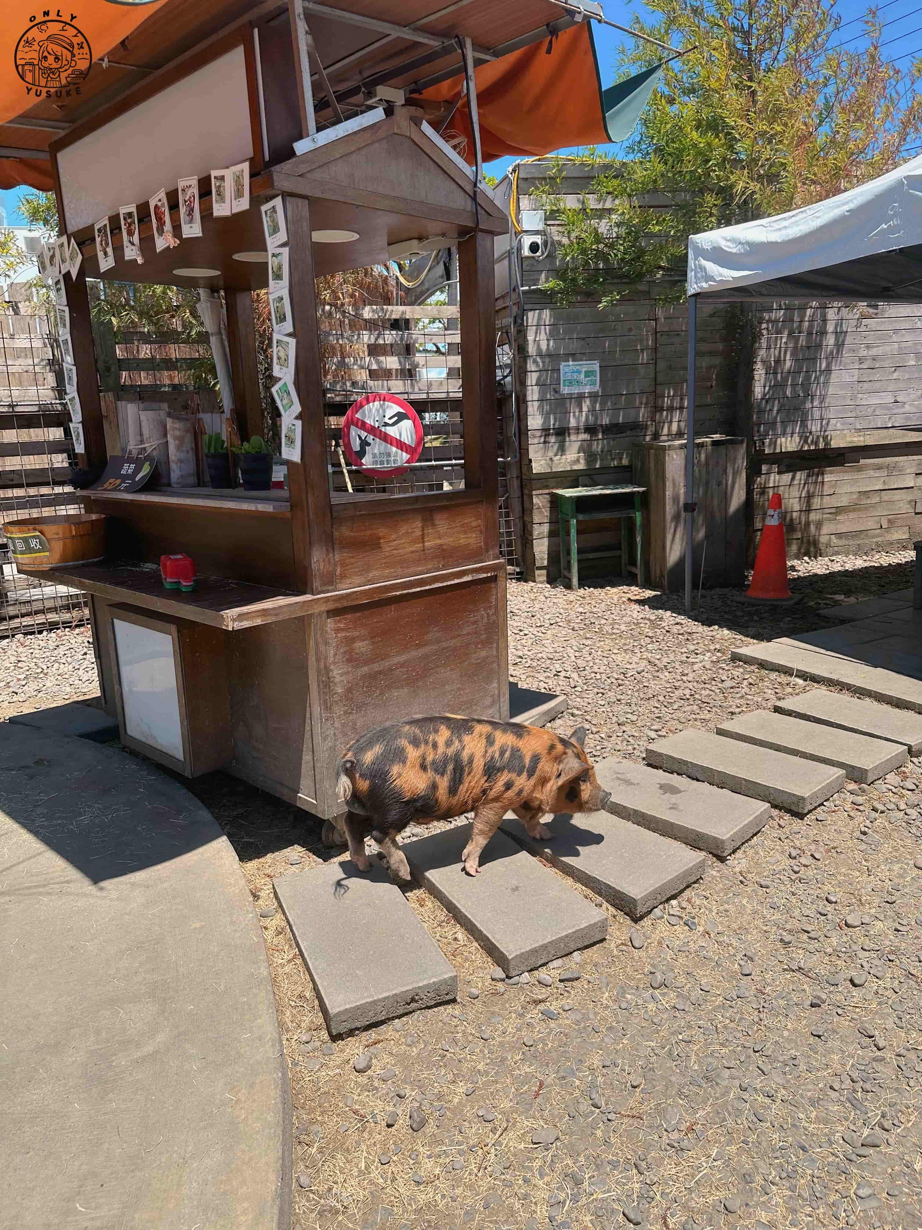 宜蘭動植物王國介紹