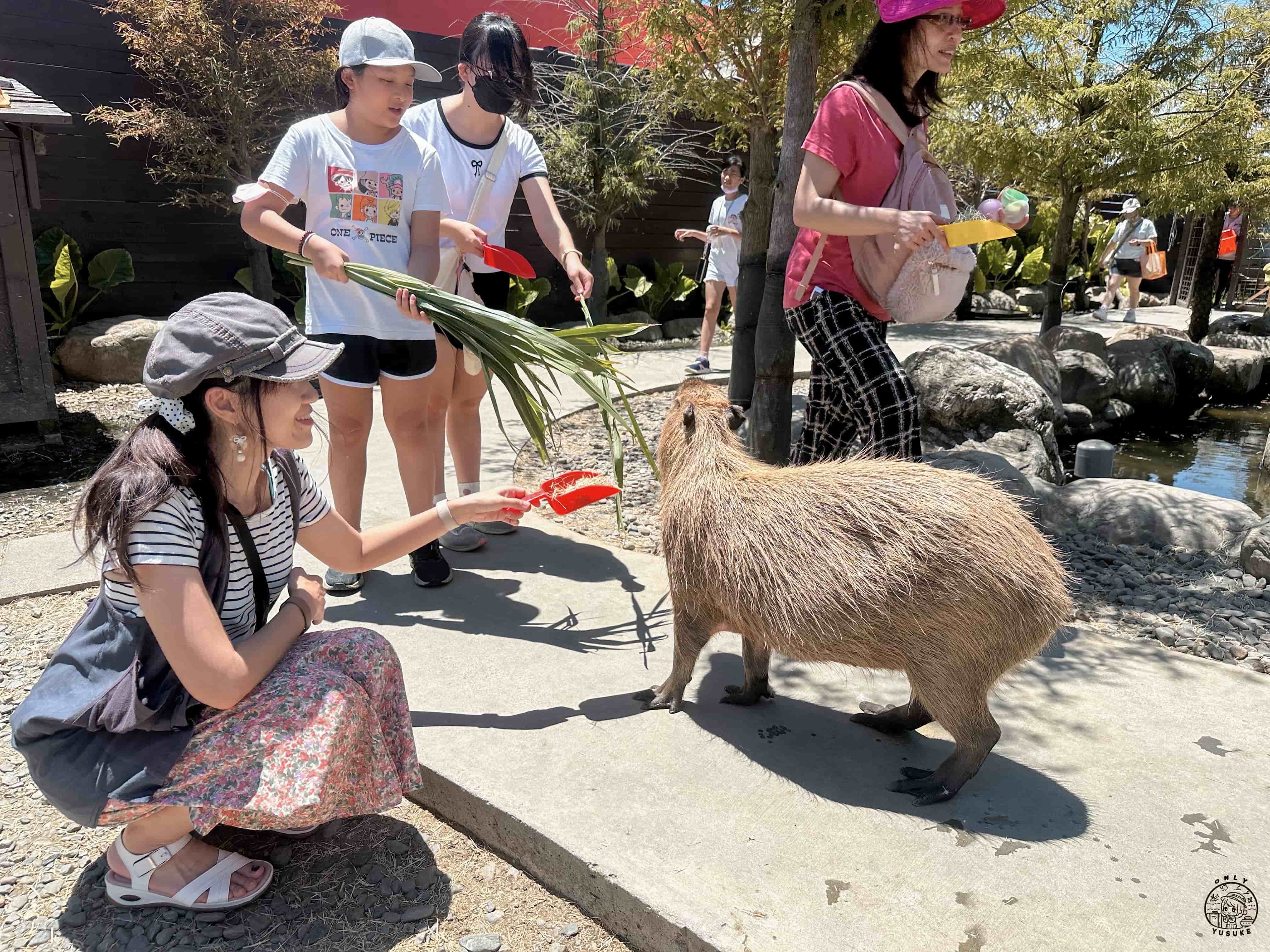宜蘭動植物王國介紹