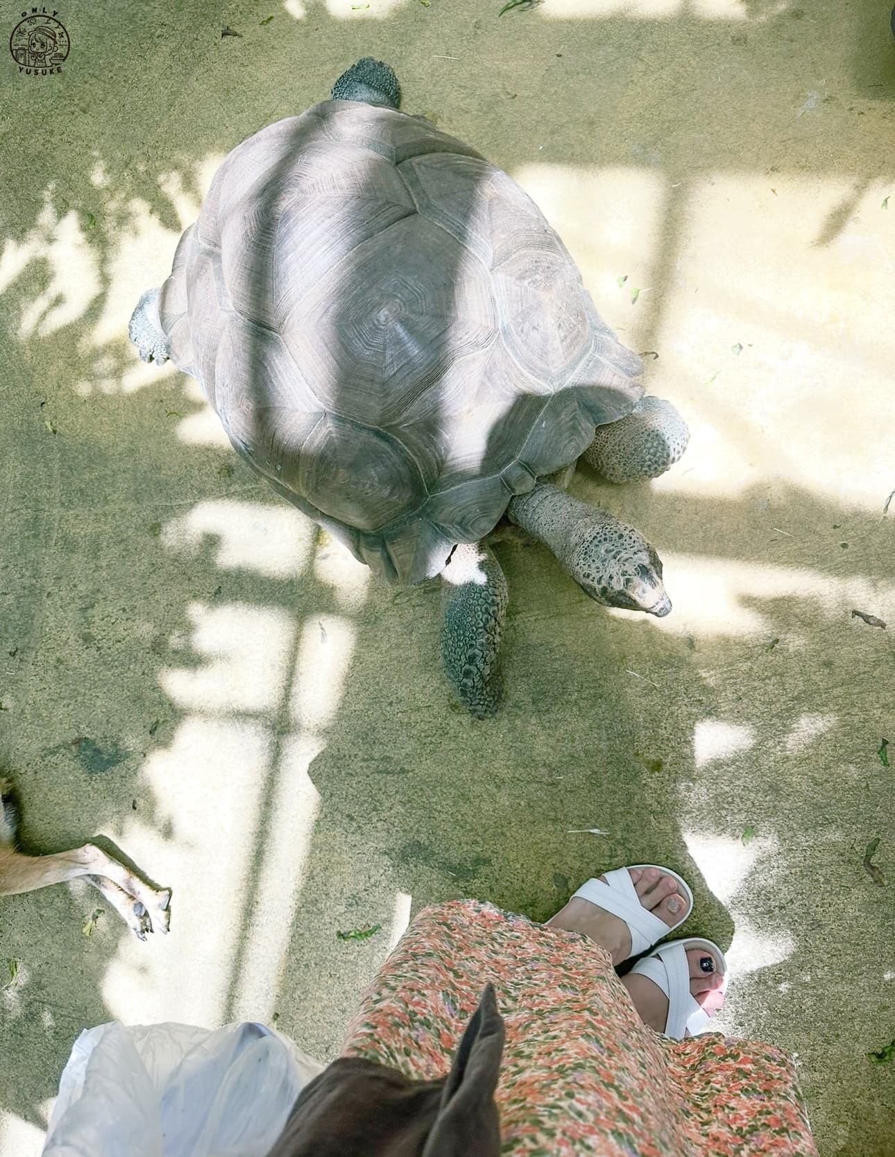 宜蘭動植物王國介紹