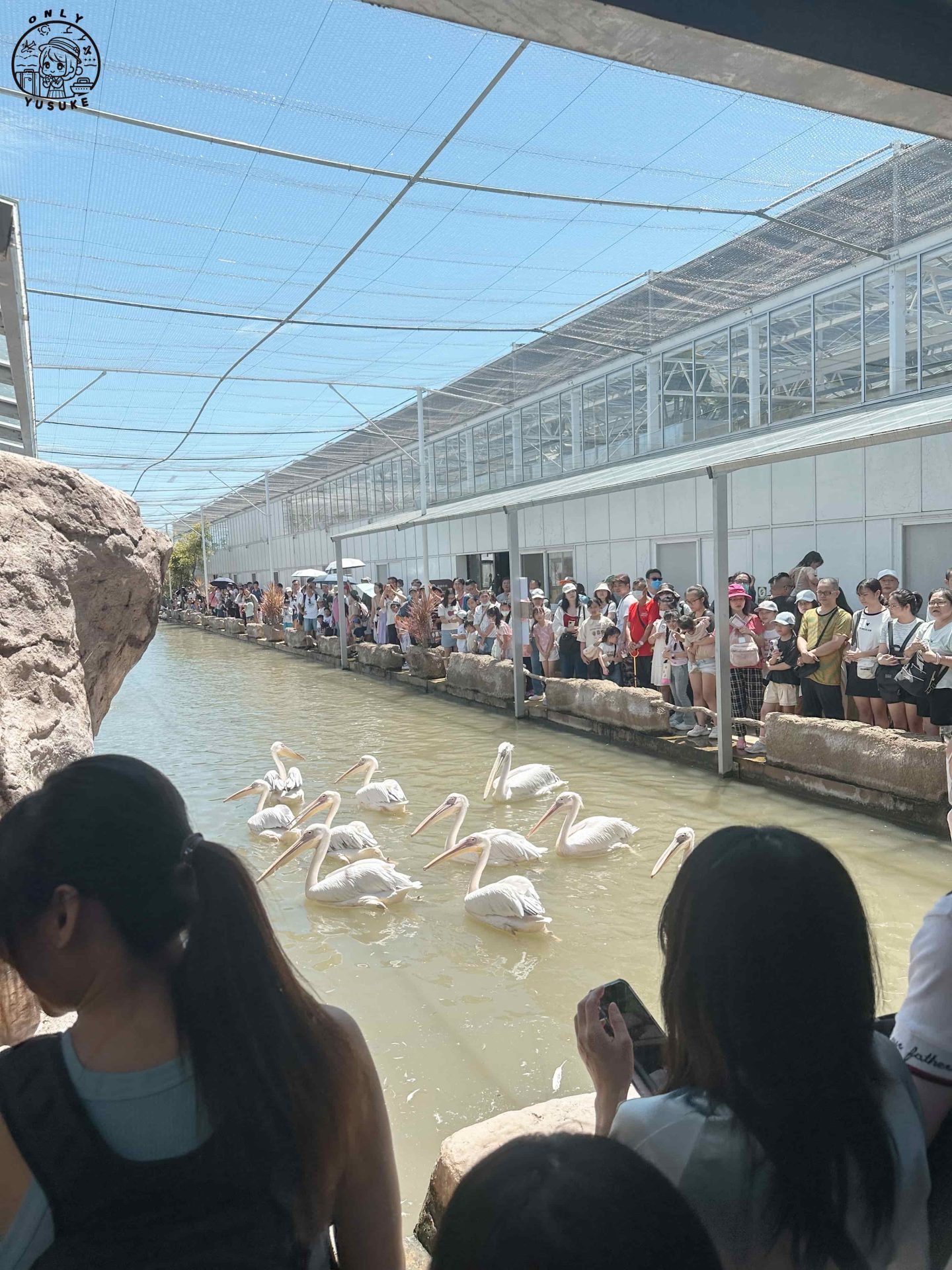 宜蘭動植物王國介紹