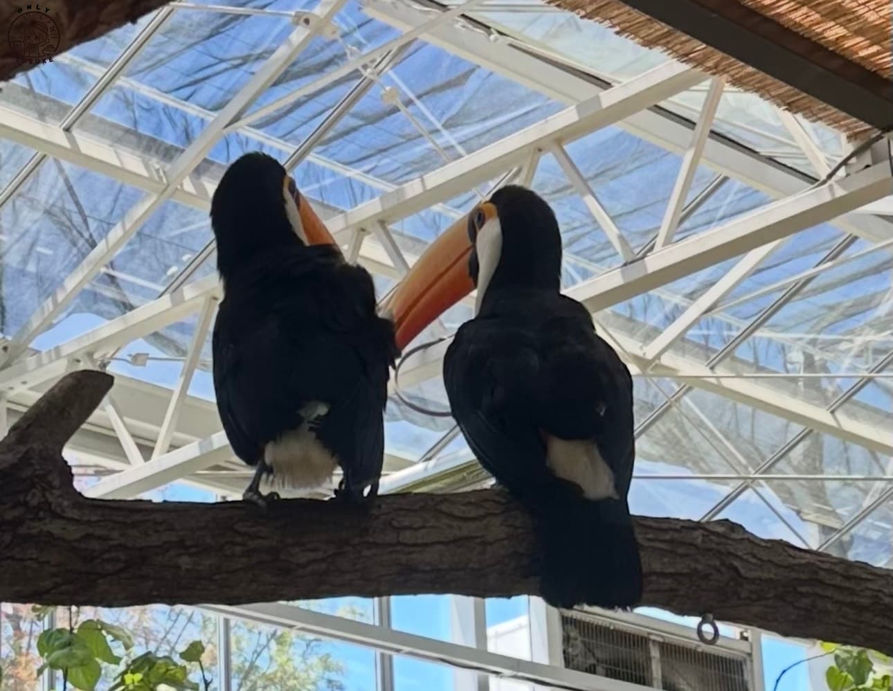 宜蘭動植物王國介紹