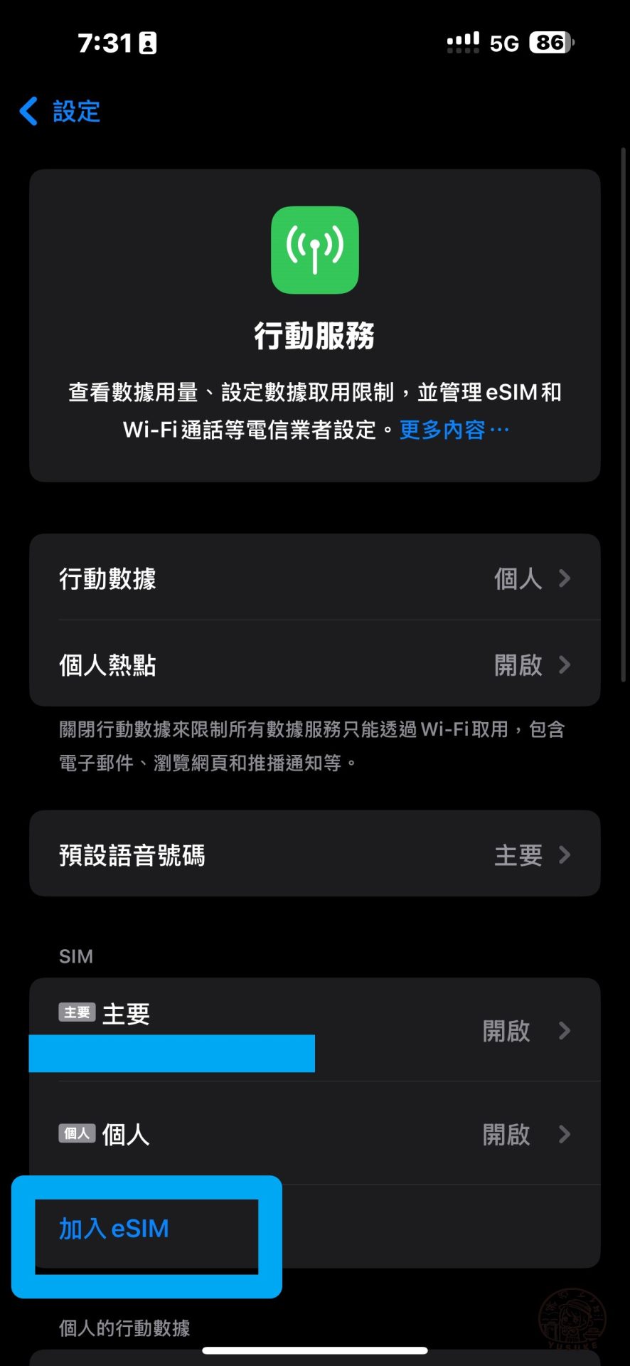 Saily eSIM 使用方式