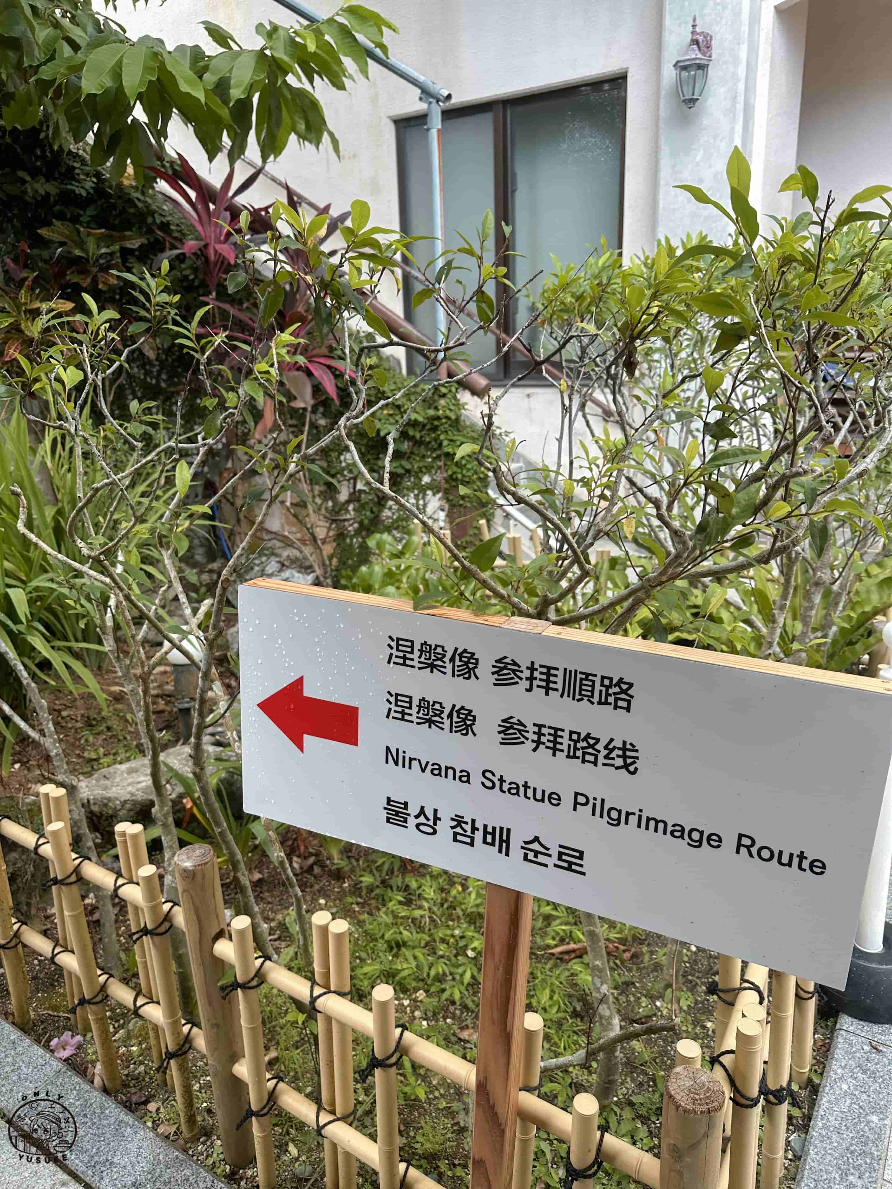 西來院達摩寺介紹