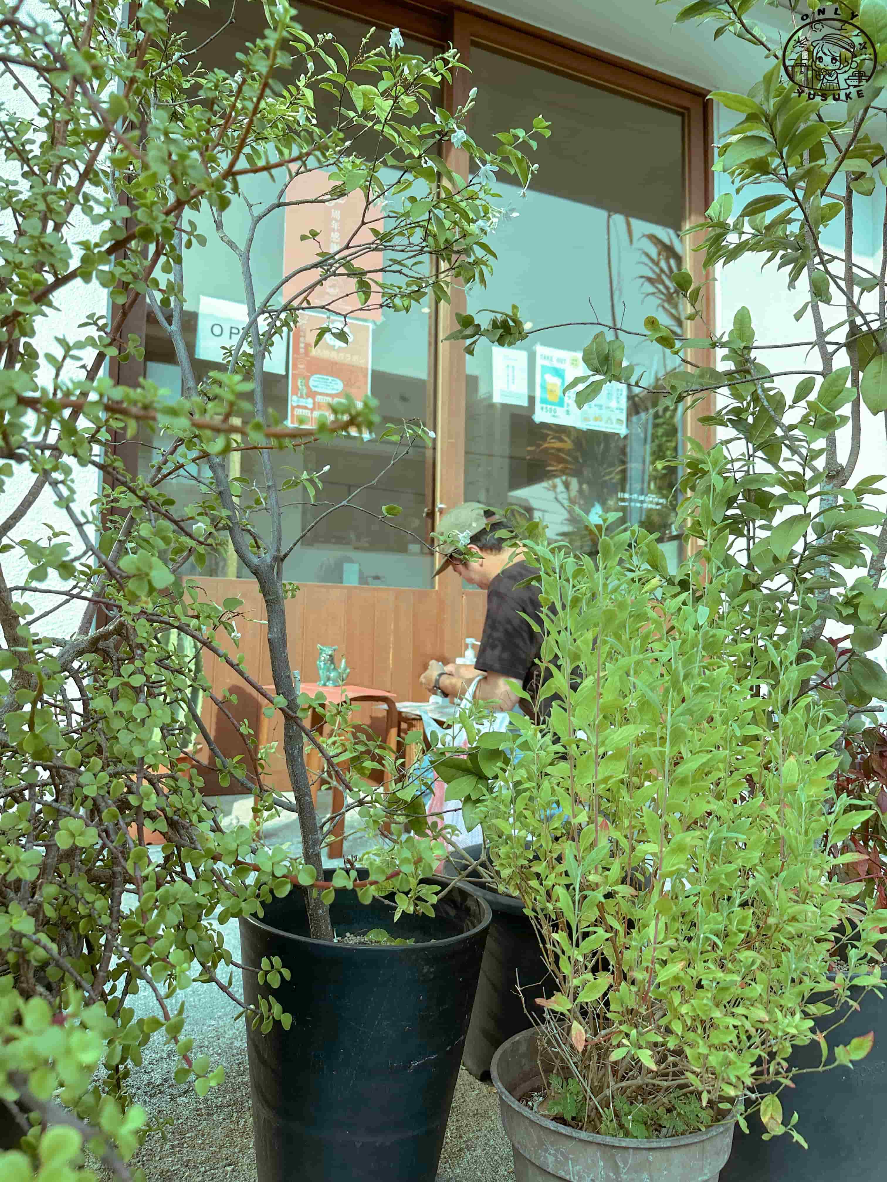 壺屋通一日遊攻略