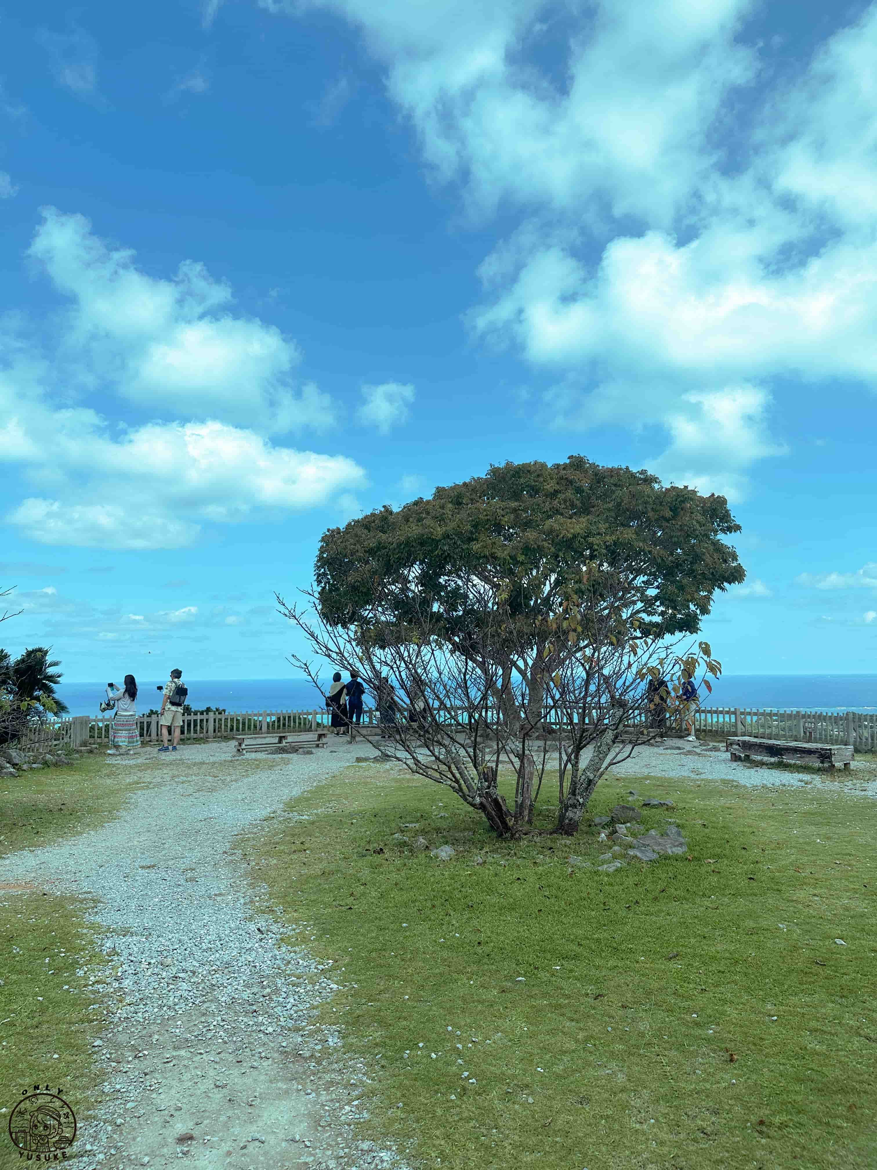 沖繩今歸仁城介紹