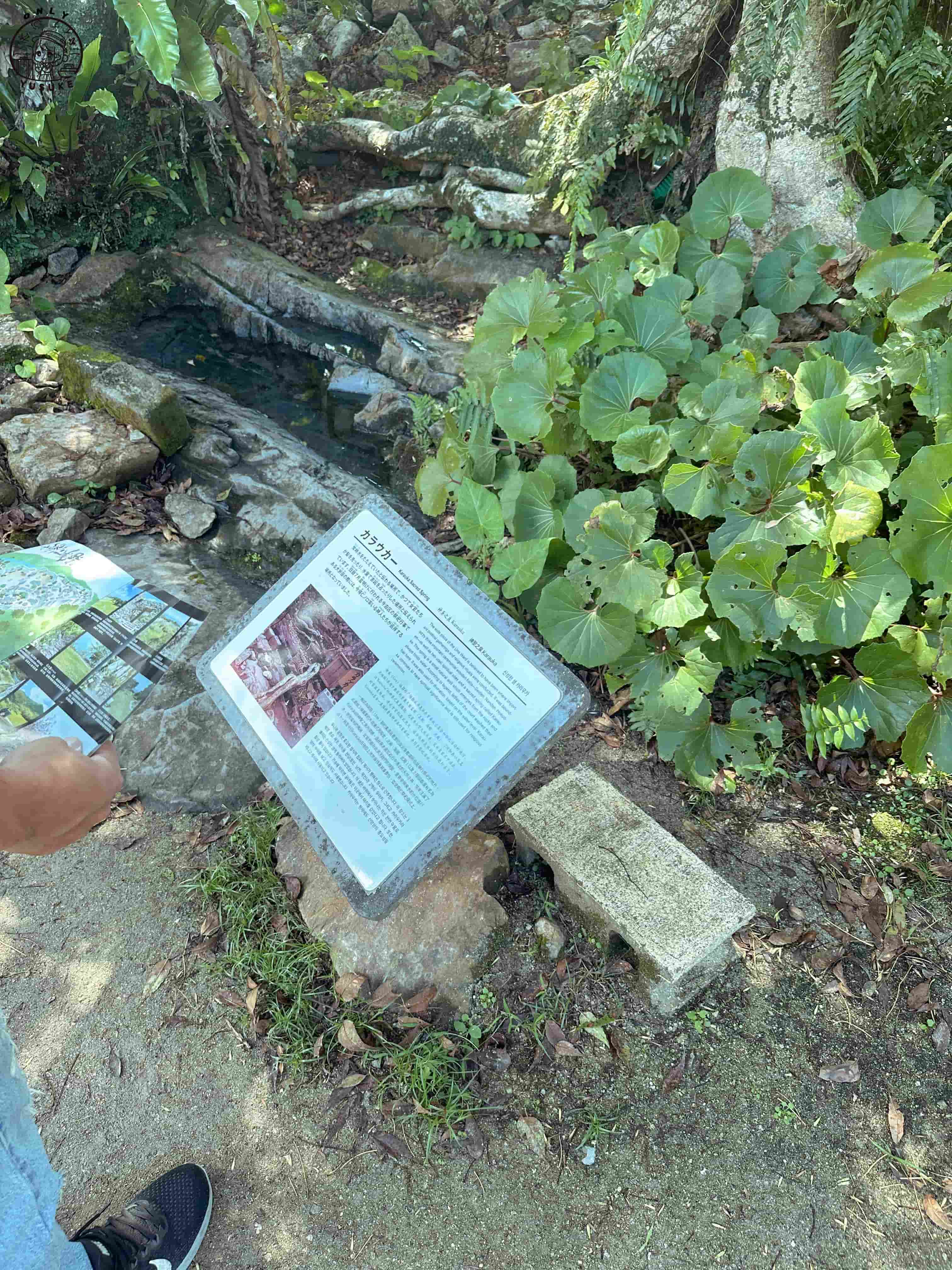 今歸仁城跡介紹