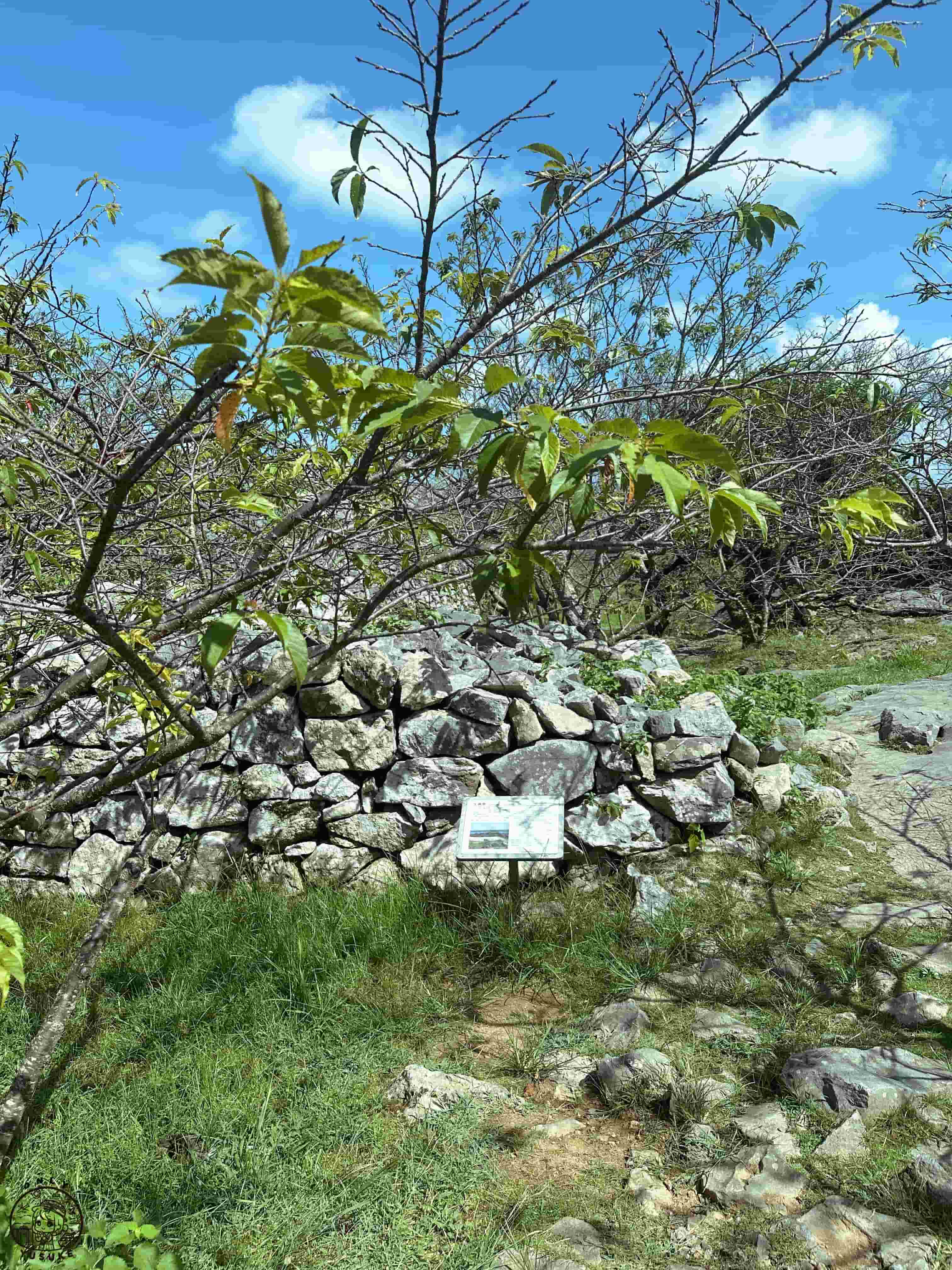 今歸仁城跡介紹