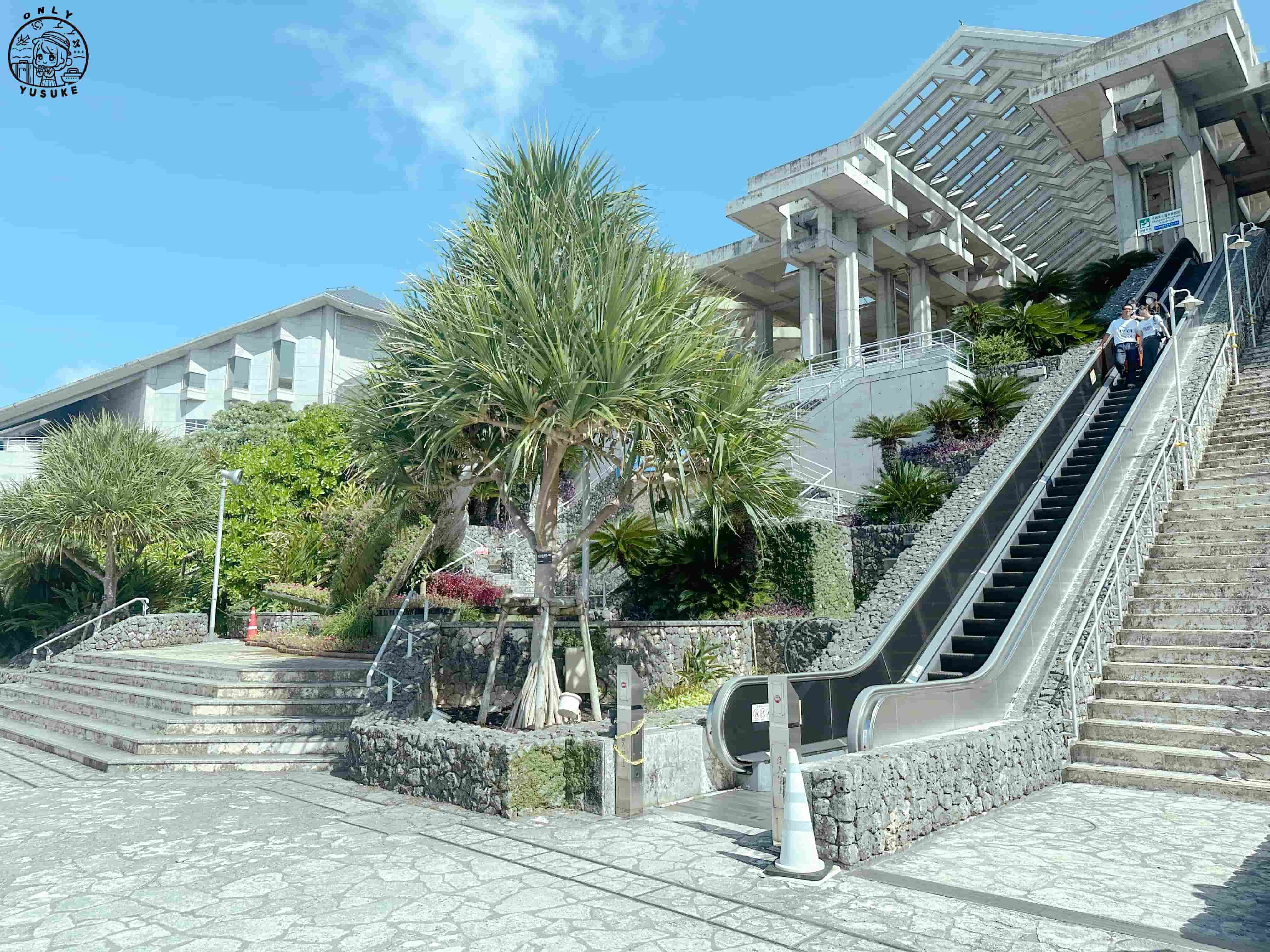 沖繩美麗海水族館介紹