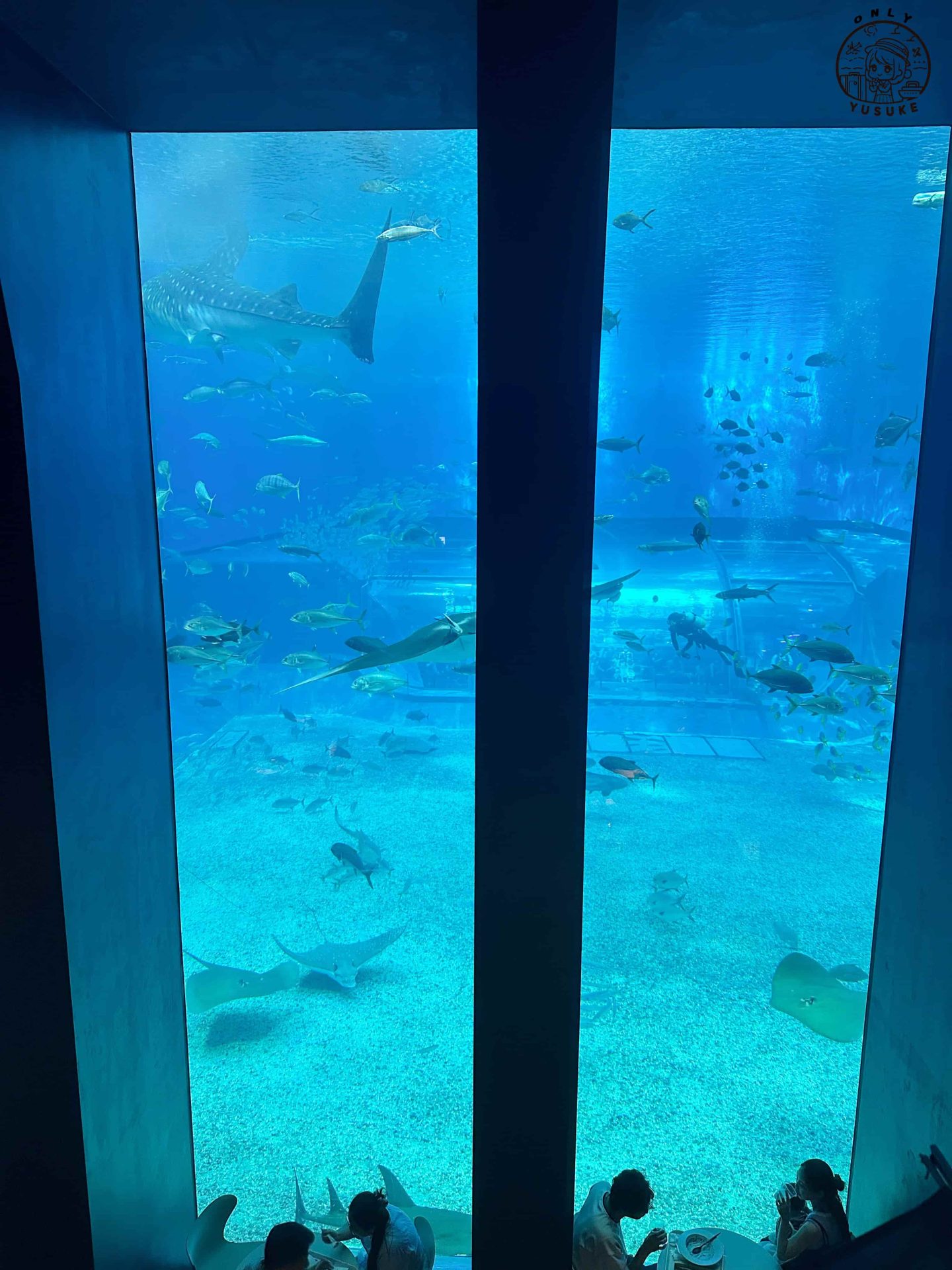 沖繩美麗海水族館介紹