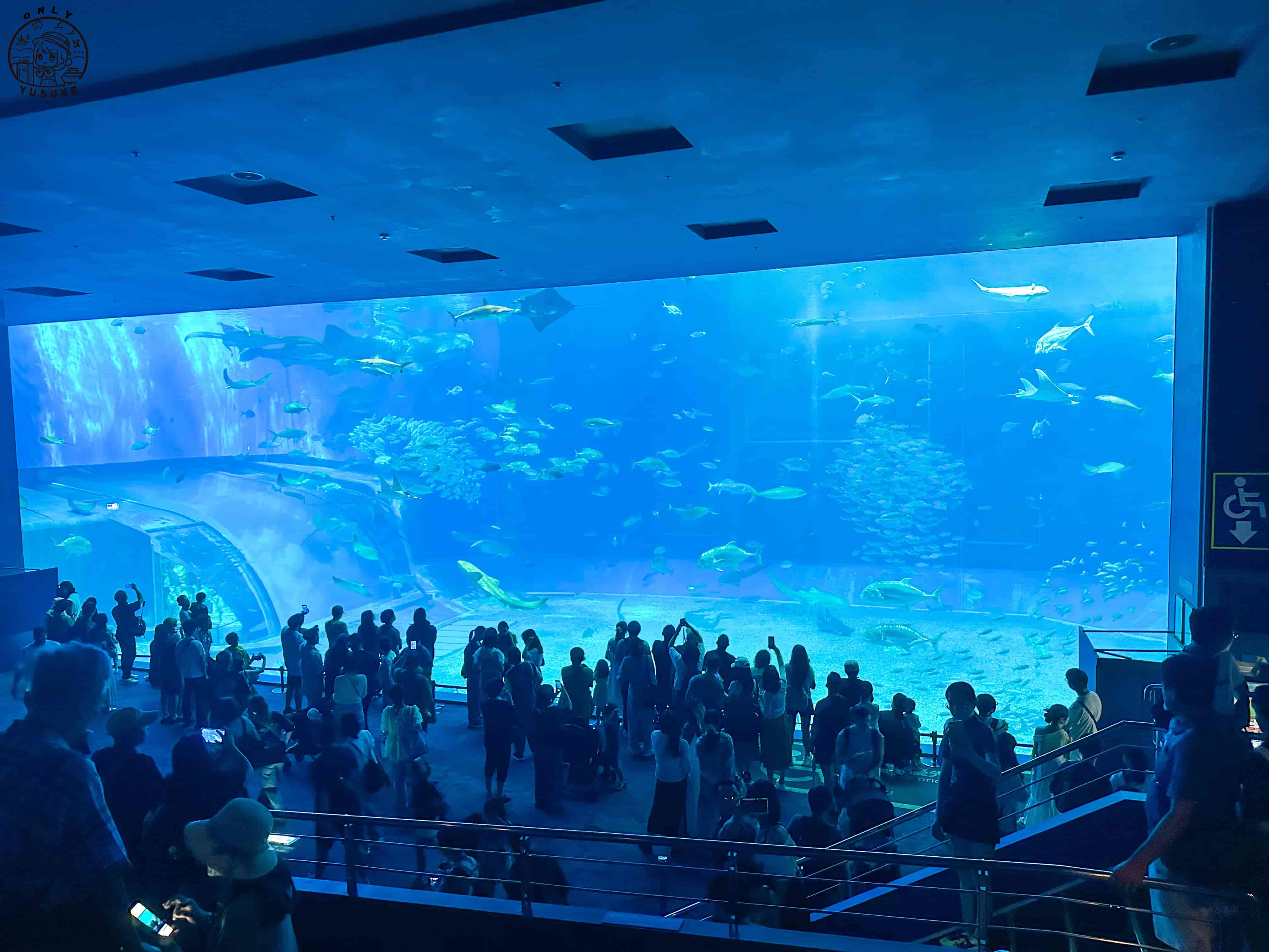 沖繩美麗海水族館介紹