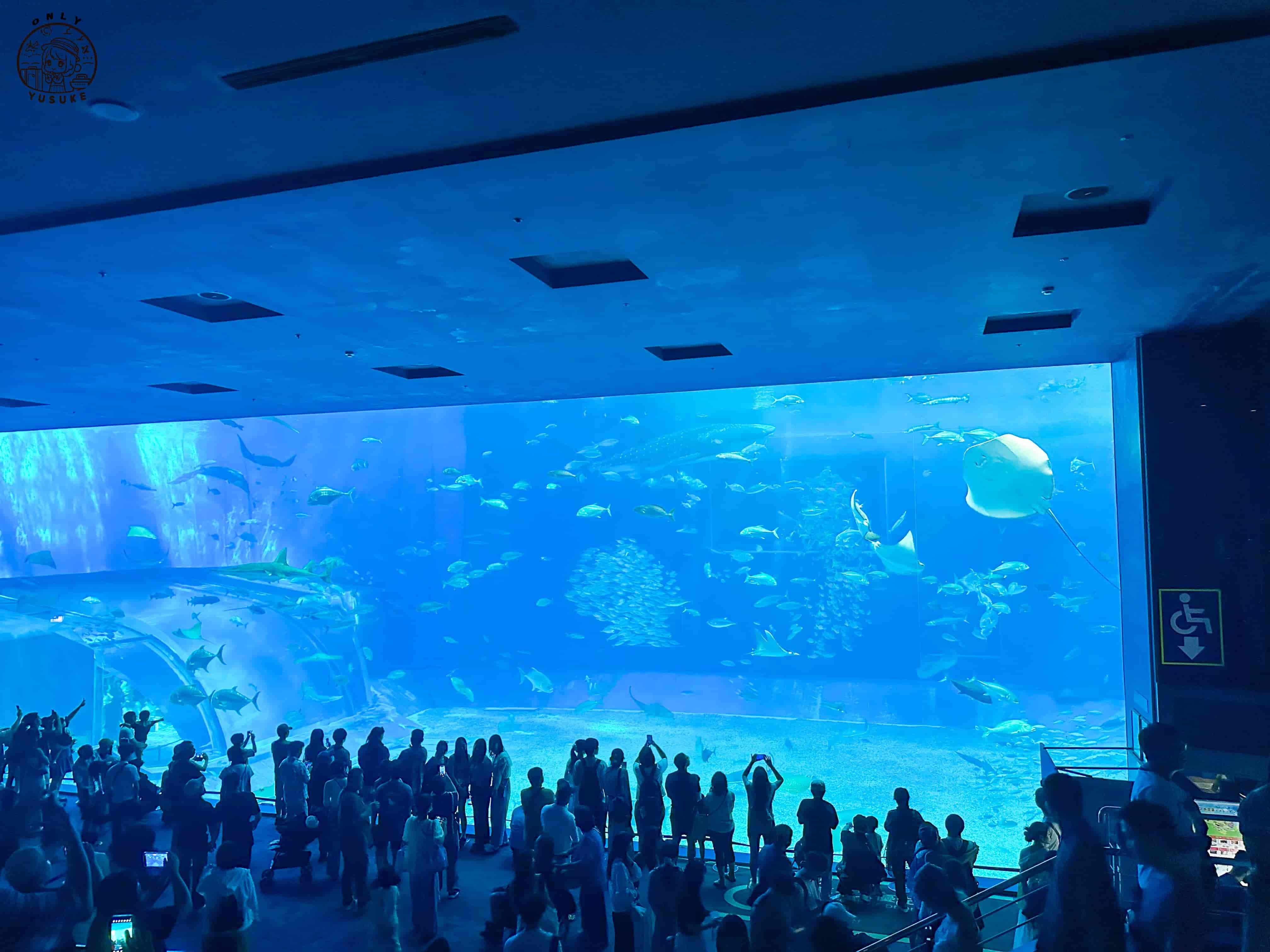 沖繩美麗海水族館介紹
