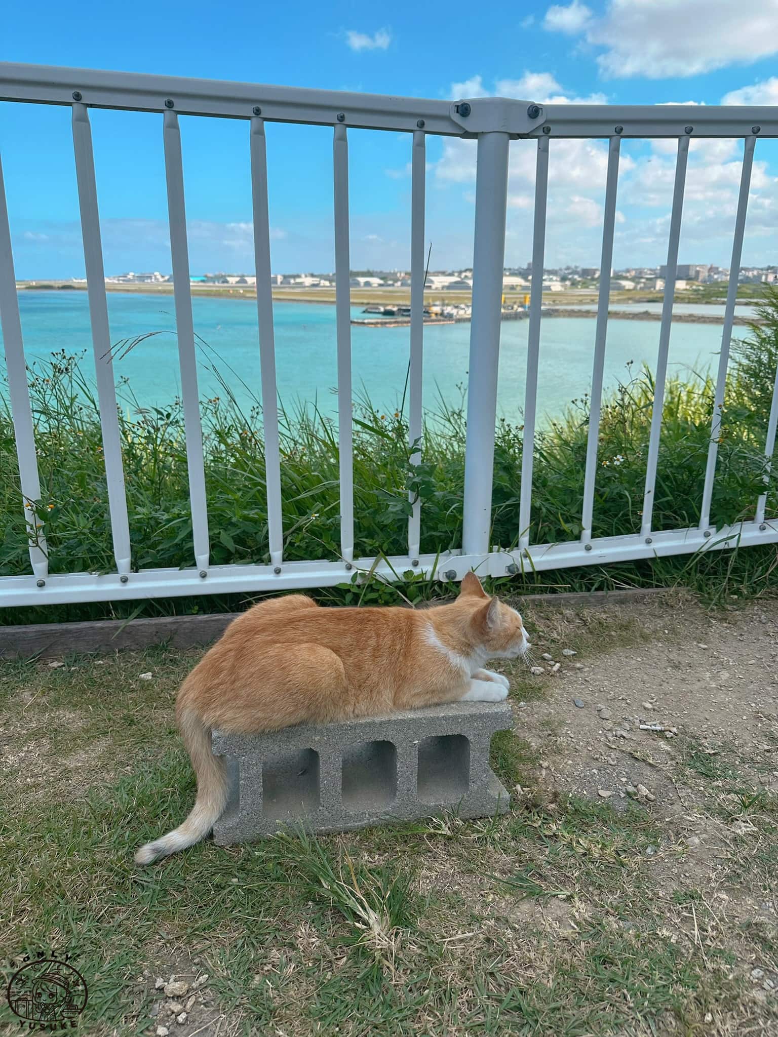 瀨長島