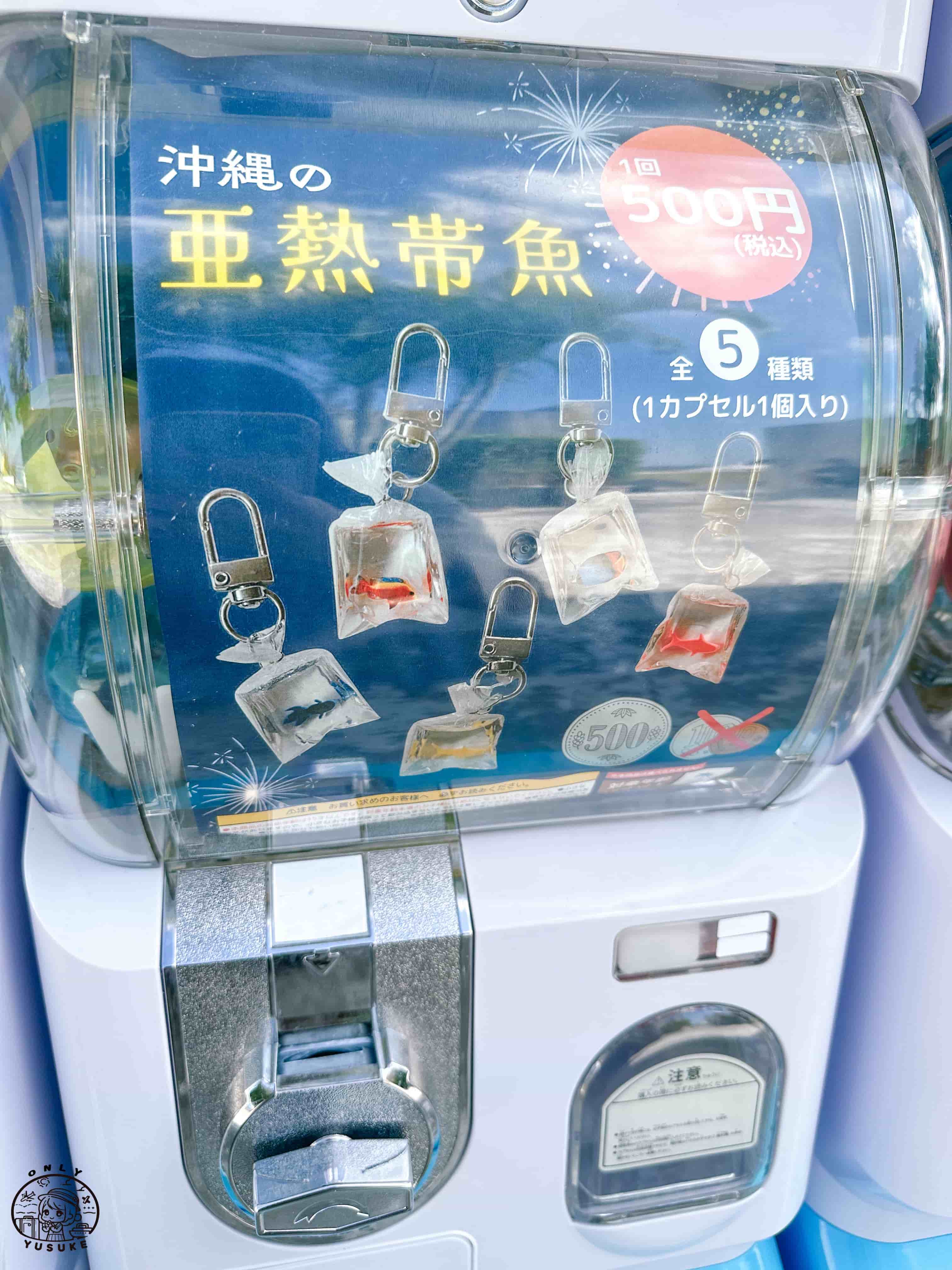 瀨長島必逛必拍